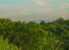  Nature Pyrénées caché par une fôret