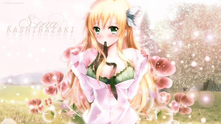 Wallpapers Manga Boku wa Tomodachi ga Sukunai Ecchi-Sena