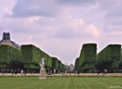  Nature Snat-jardin du Luxembourg