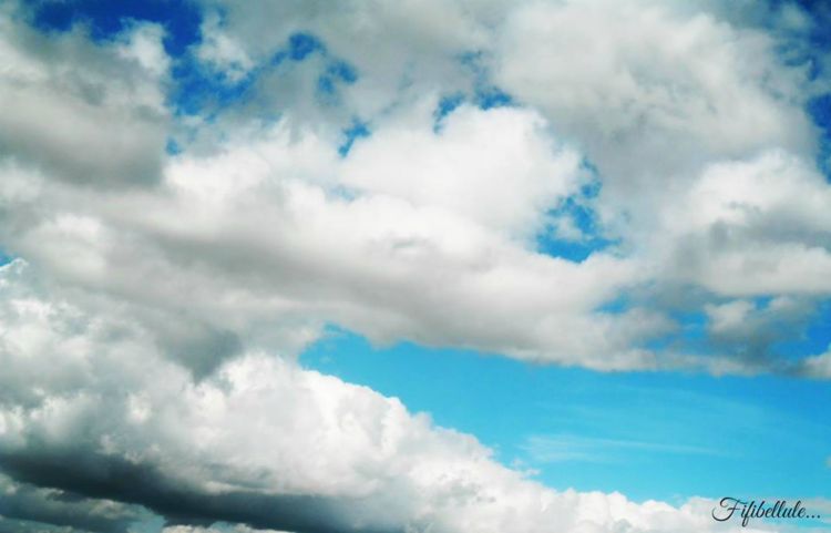 Wallpapers Nature Skies - Clouds Wallpaper N375876