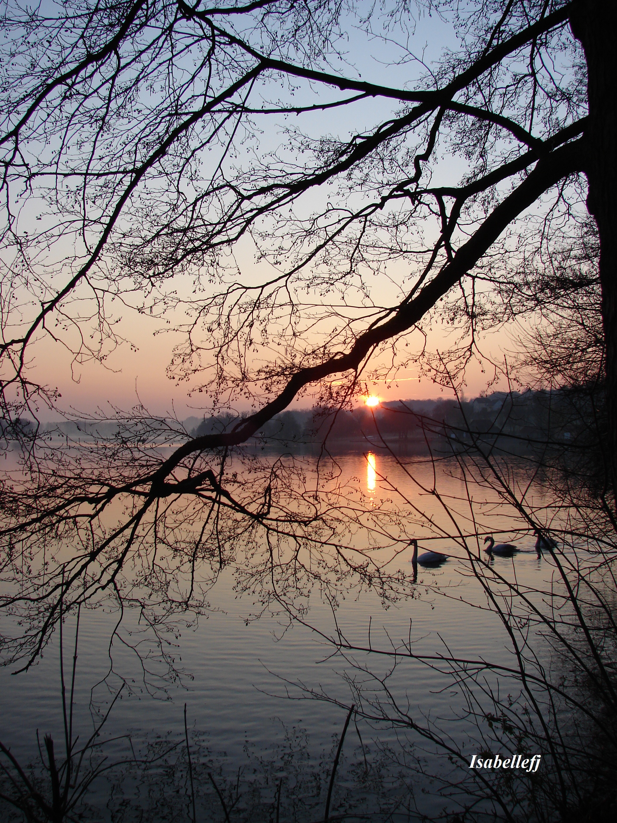 Fonds d'cran Nature Couchers et levers de Soleil 