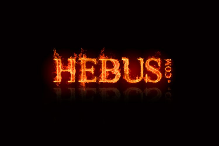 Fonds d'cran Grandes marques et publicit Sites web - Hebus hebus flames