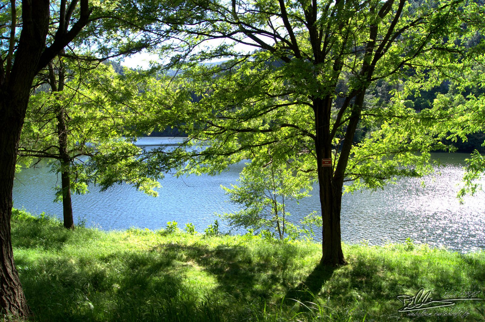 Fonds d'cran Nature Lacs - Etangs Le Lac des Camboux