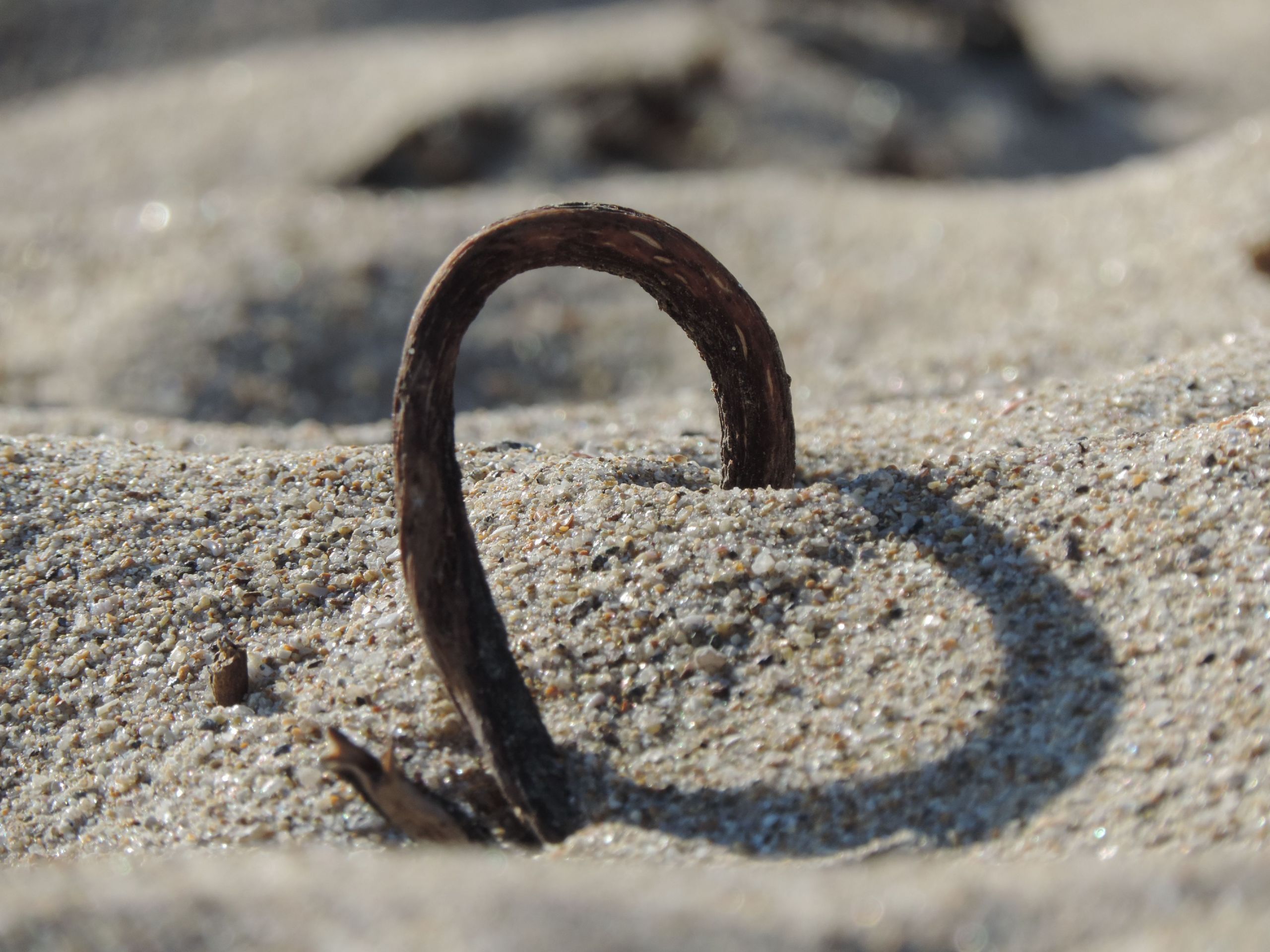 Fonds d'cran Nature Mers - Ocans - Plages 