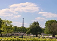  Nature LeJardin des tuileries