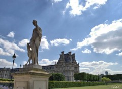  Nature LeJardin des tuileries