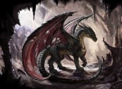  Fantasy et Science Fiction Dragon