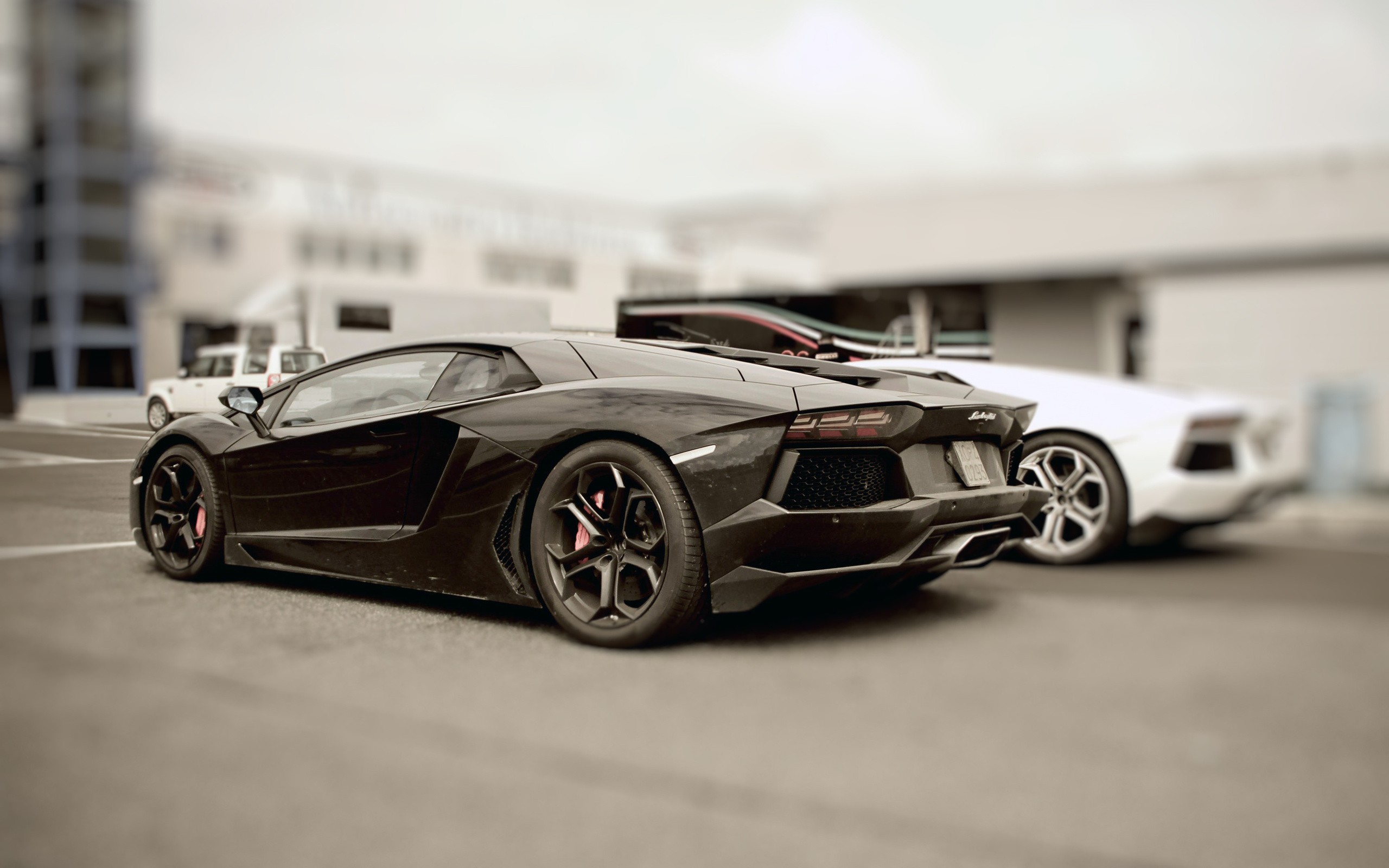 Wallpapers Cars Lamborghini 