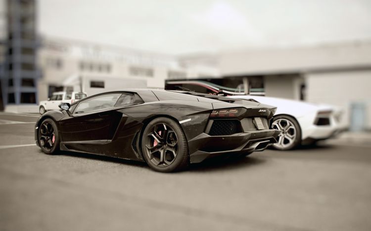 Wallpapers Cars Lamborghini Wallpaper N376695