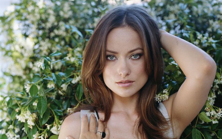 Wallpapers Celebrities Women Olivia Wilde Wallpaper N376703