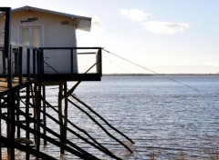  Nature Estuaire de la Gironde