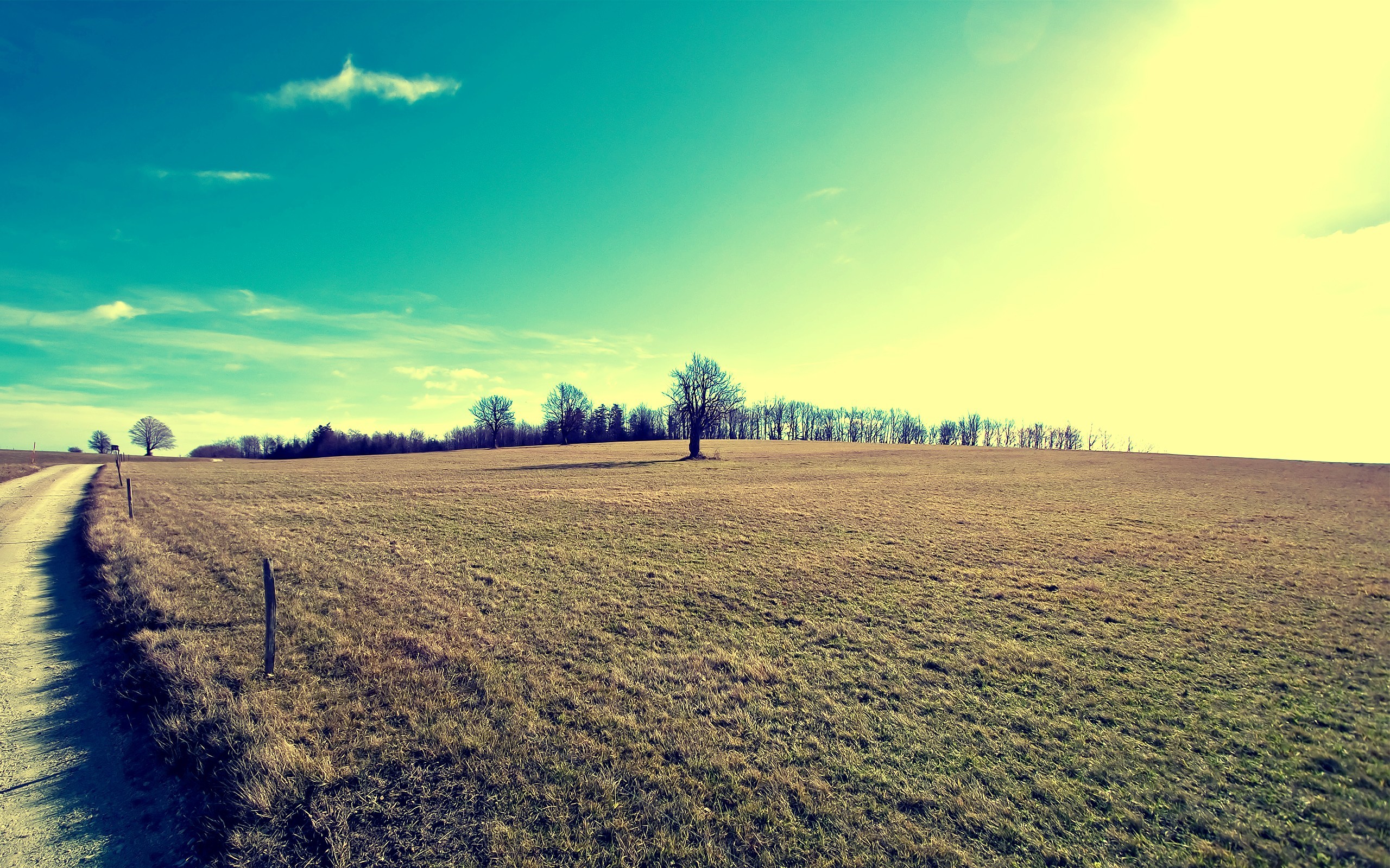 Fonds d'cran Nature Champs - Prairies 