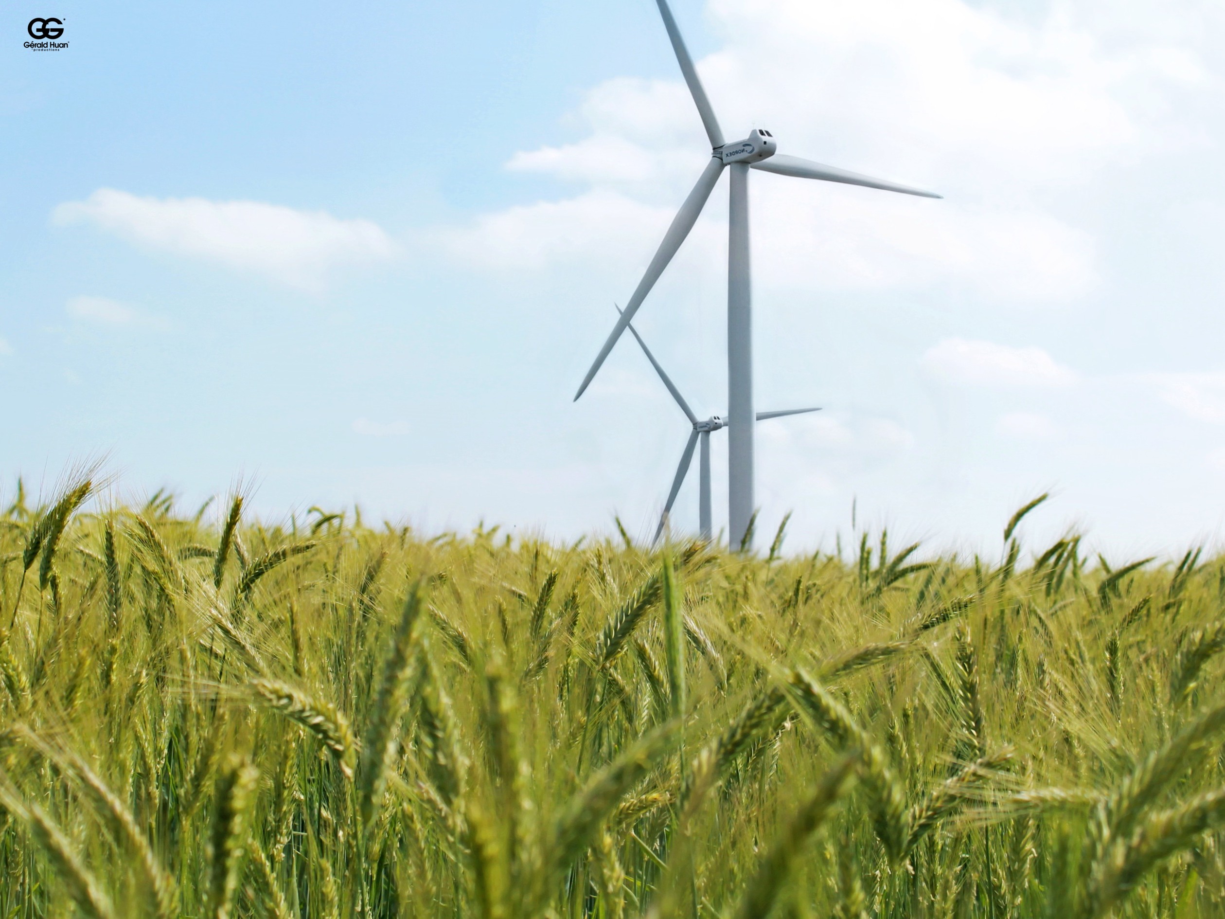 Fonds d'cran Nature Champs - Prairies Eoliennes