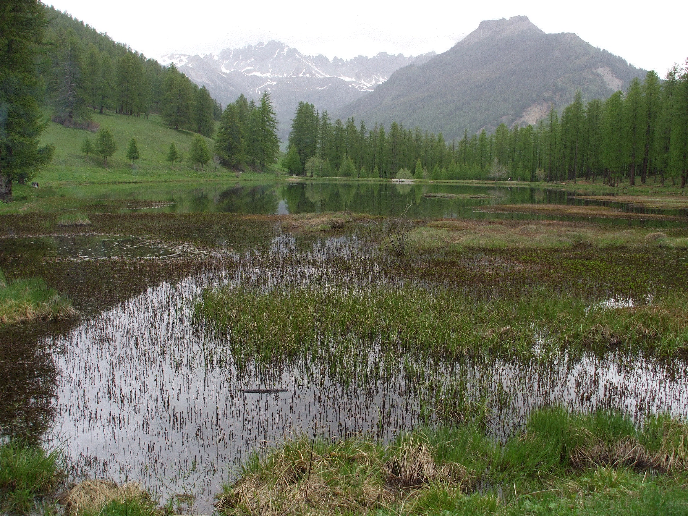 Fonds d'cran Nature Lacs - Etangs après tout