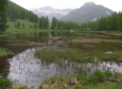  Nature après tout