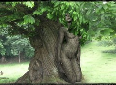  Art - Numrique Spirit Tree