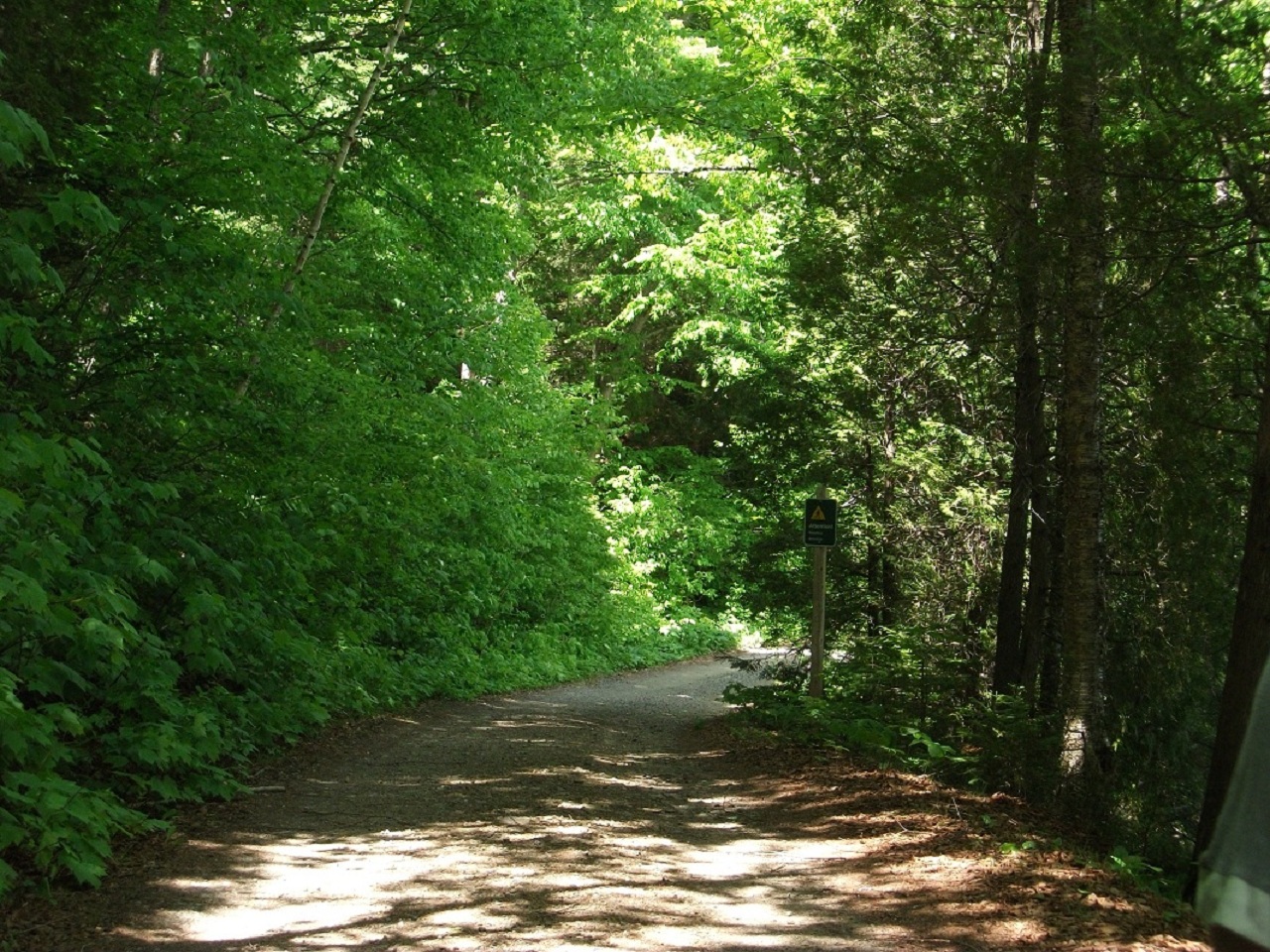 Fonds d'cran Nature Arbres - Forts Parc National De La Mauricie 