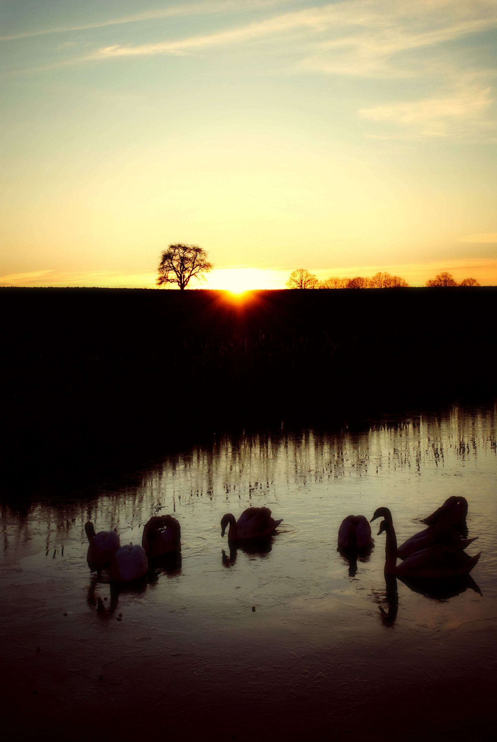 Fonds d'cran Nature Lacs - Etangs 