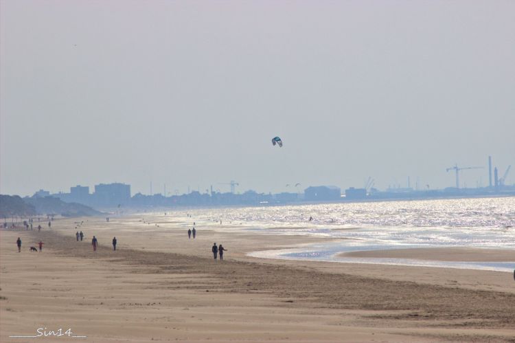 Wallpapers Nature Seas - Oceans - Beaches Bray-dunes plage