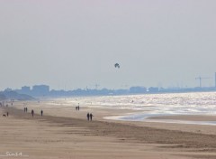  Nature Bray-dunes plage