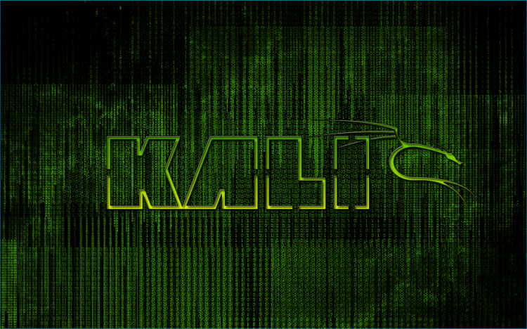 Wallpapers Computers Linux kali