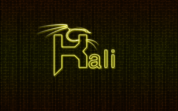 Fonds d'cran Informatique Linux kali