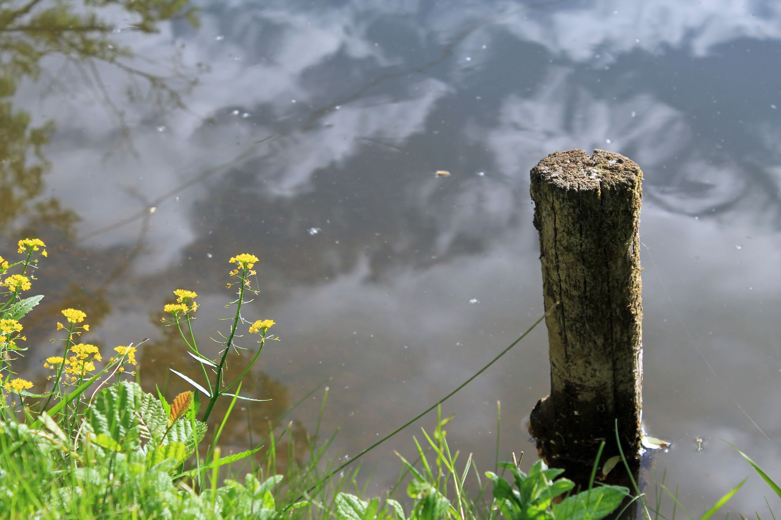 Fonds d'cran Nature Fleuves - Rivires - Torrents 