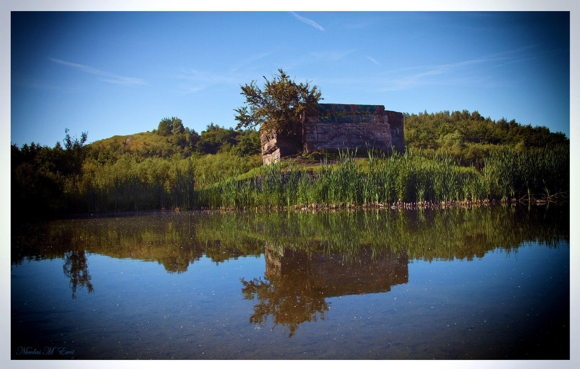 Fonds d'cran Nature Marais 