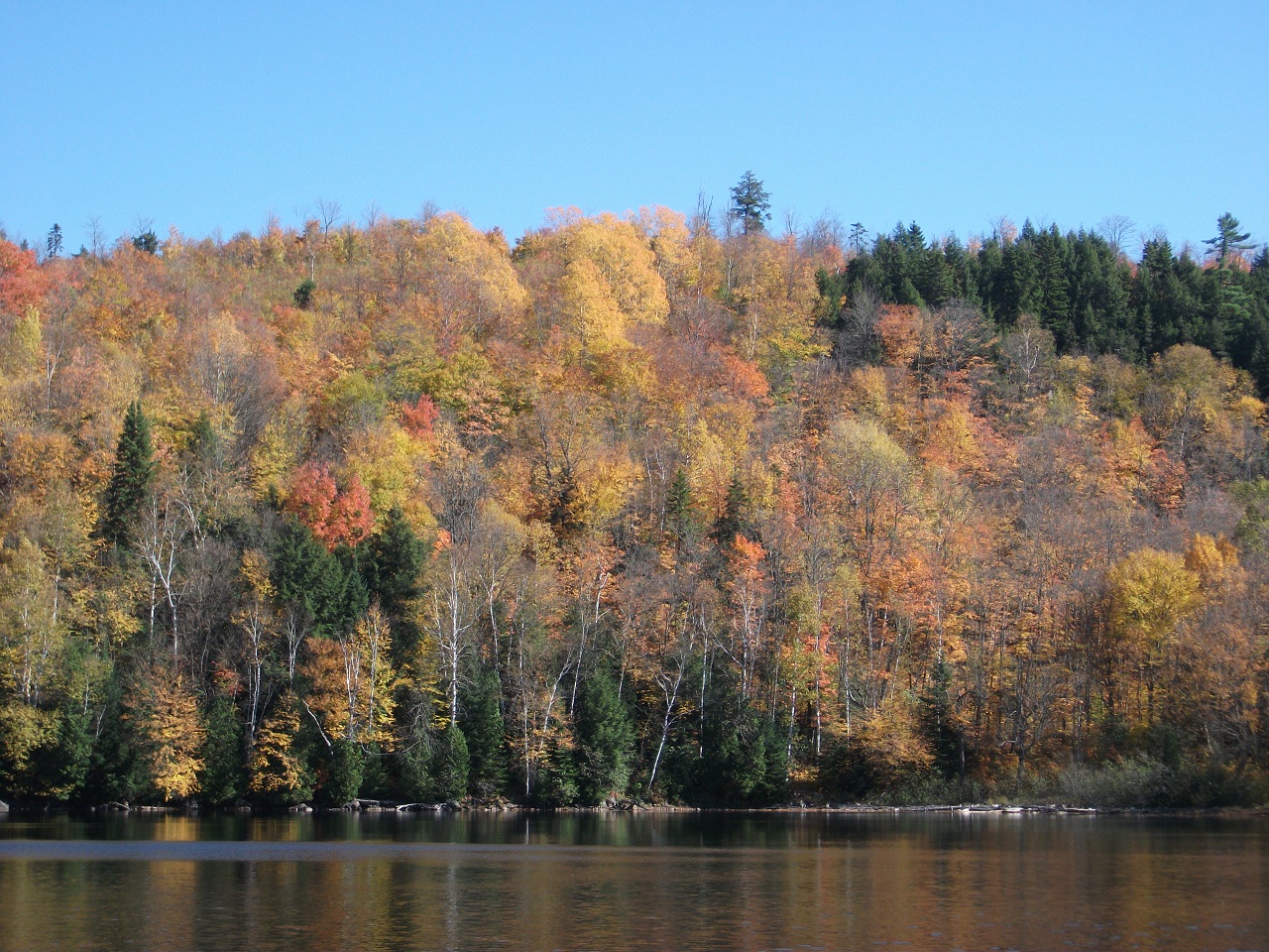 Wallpapers Nature Trees - Forests Parc National De La Mauricie