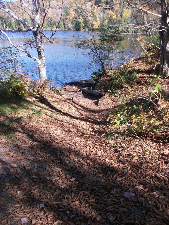 Wallpapers Nature Trees - Forests Parc National De La Mauricie