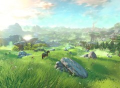  Jeux Vido The Legend of Zelda Wii U
