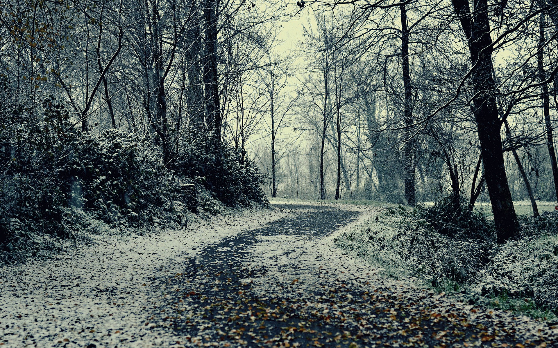 Fonds d'cran Nature Saisons - Hiver 