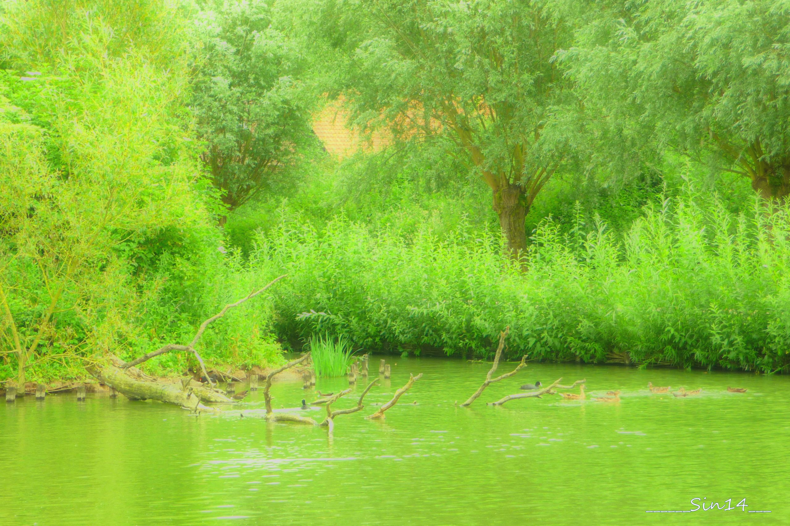 Fonds d'cran Nature Lacs - Etangs Valle de la Marque