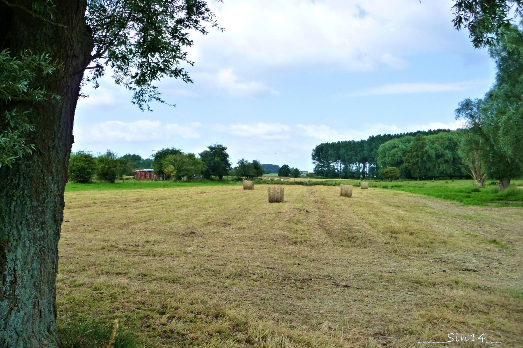 Fonds d'cran Nature Champs - Prairies Valle de la Marque