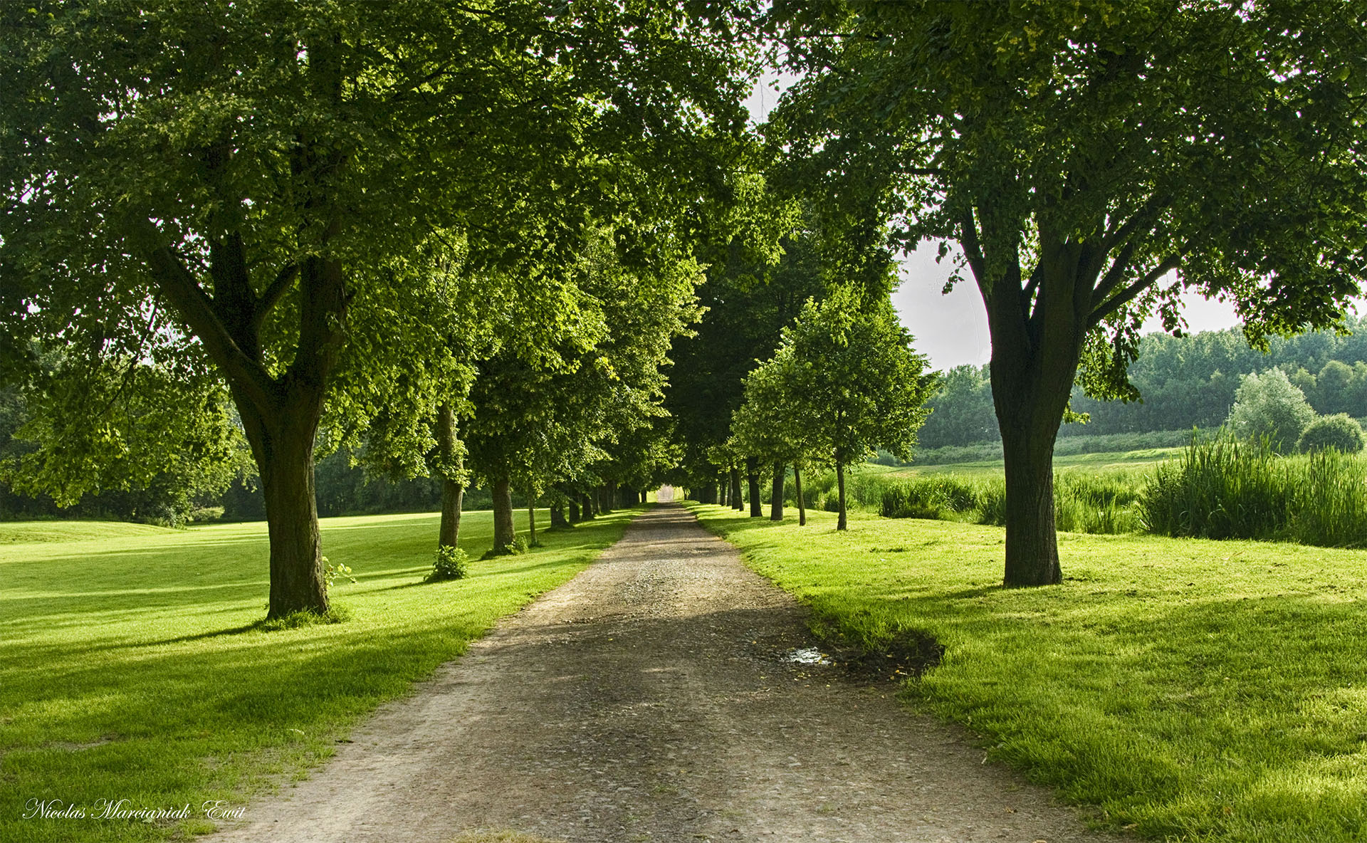 Wallpapers Nature Paths 