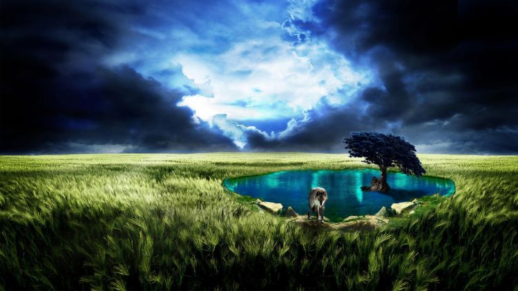 Wallpapers Digital Art Nature - Landscapes Oasis bleu