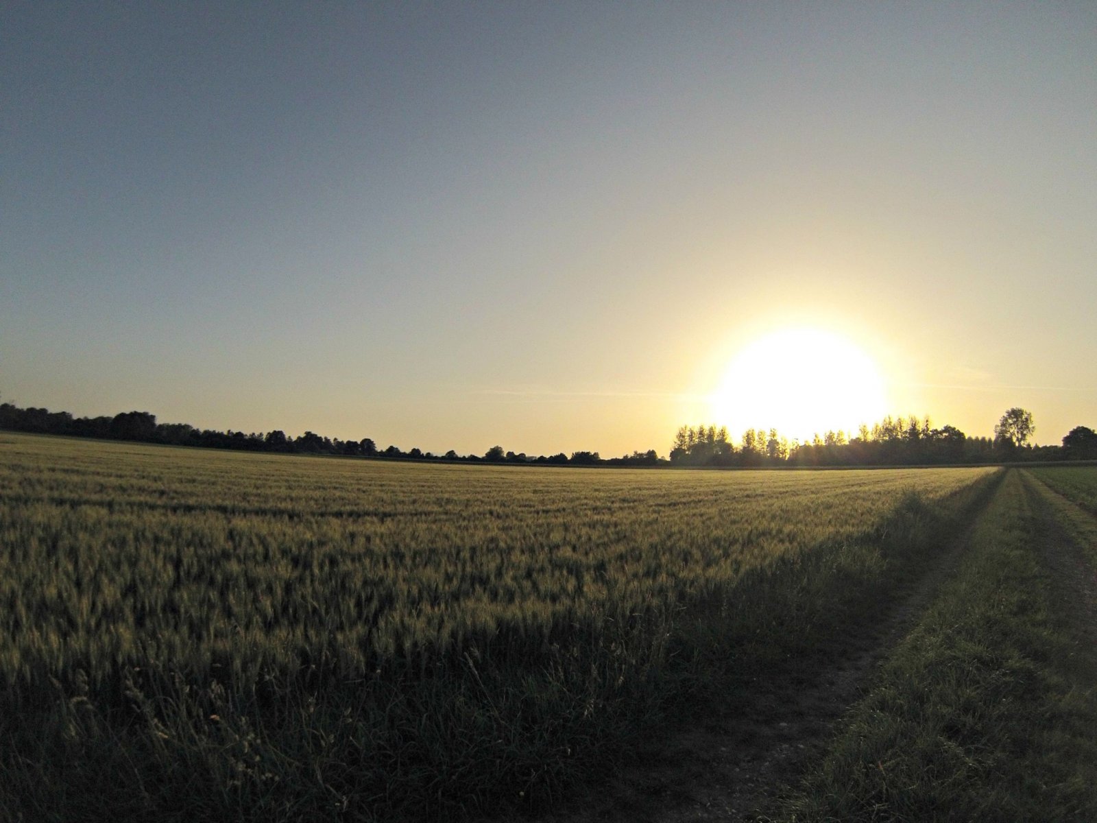 Fonds d'cran Nature Couchers et levers de Soleil Coucher de soleil sur champ