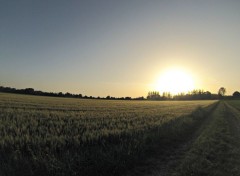  Nature Coucher de soleil sur champ