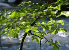  Nature ballade au cheran