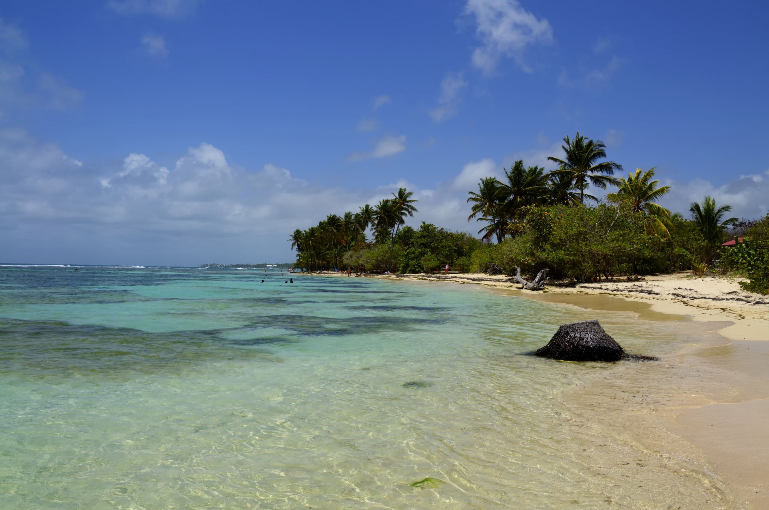 Wallpapers Trips : Europ Guadeloupe Plage de Bois Jolan Guadeloupe