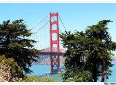  Voyages : Amrique du nord Golden gate Bridge