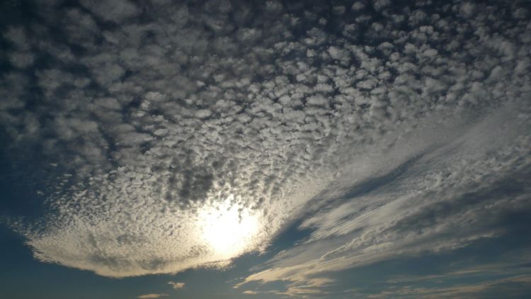 Fonds d'cran Nature Ciel - Nuages Des nuages en écaille, ce nest ps couant et c'est très beau.