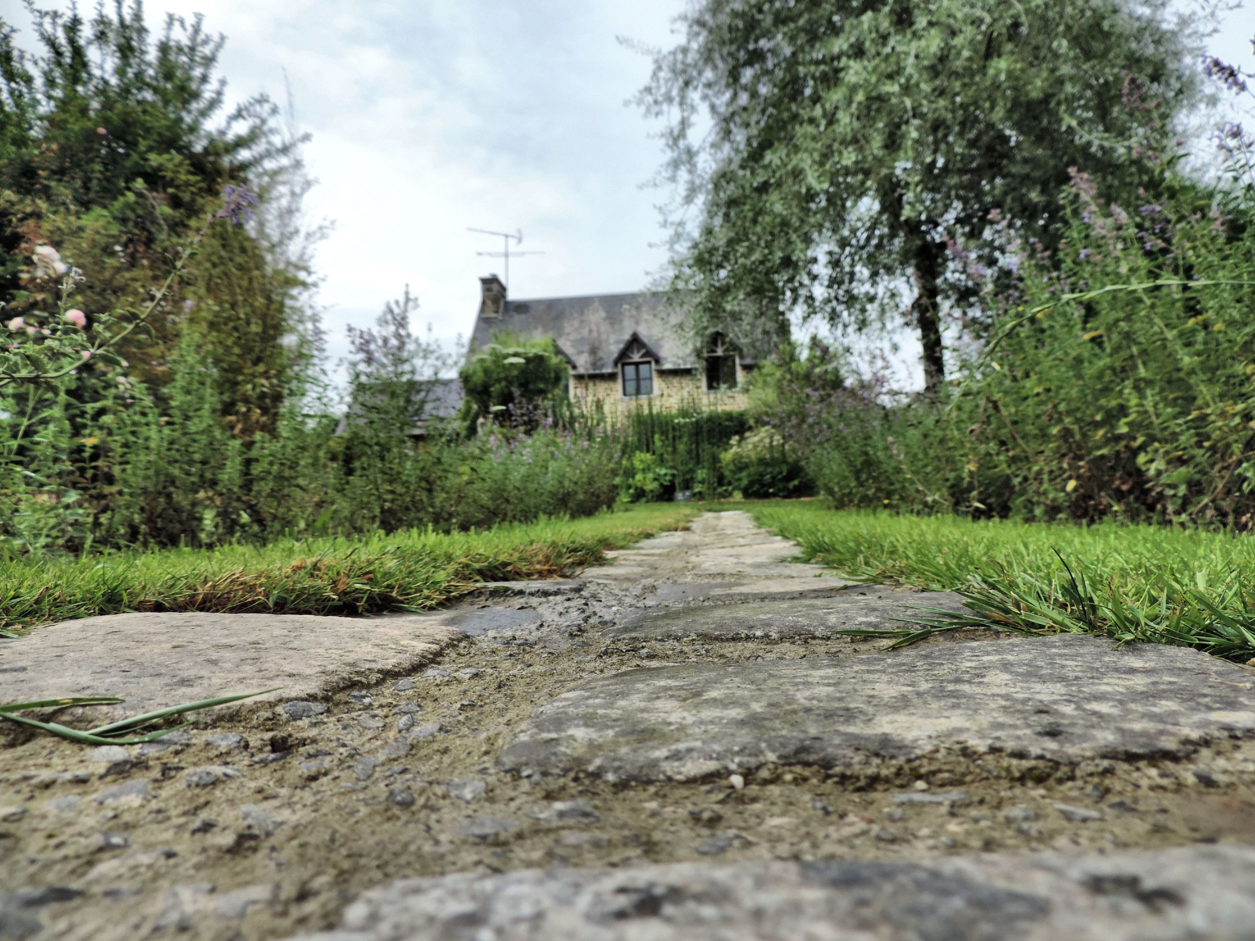 Fonds d'cran Nature Chemins 