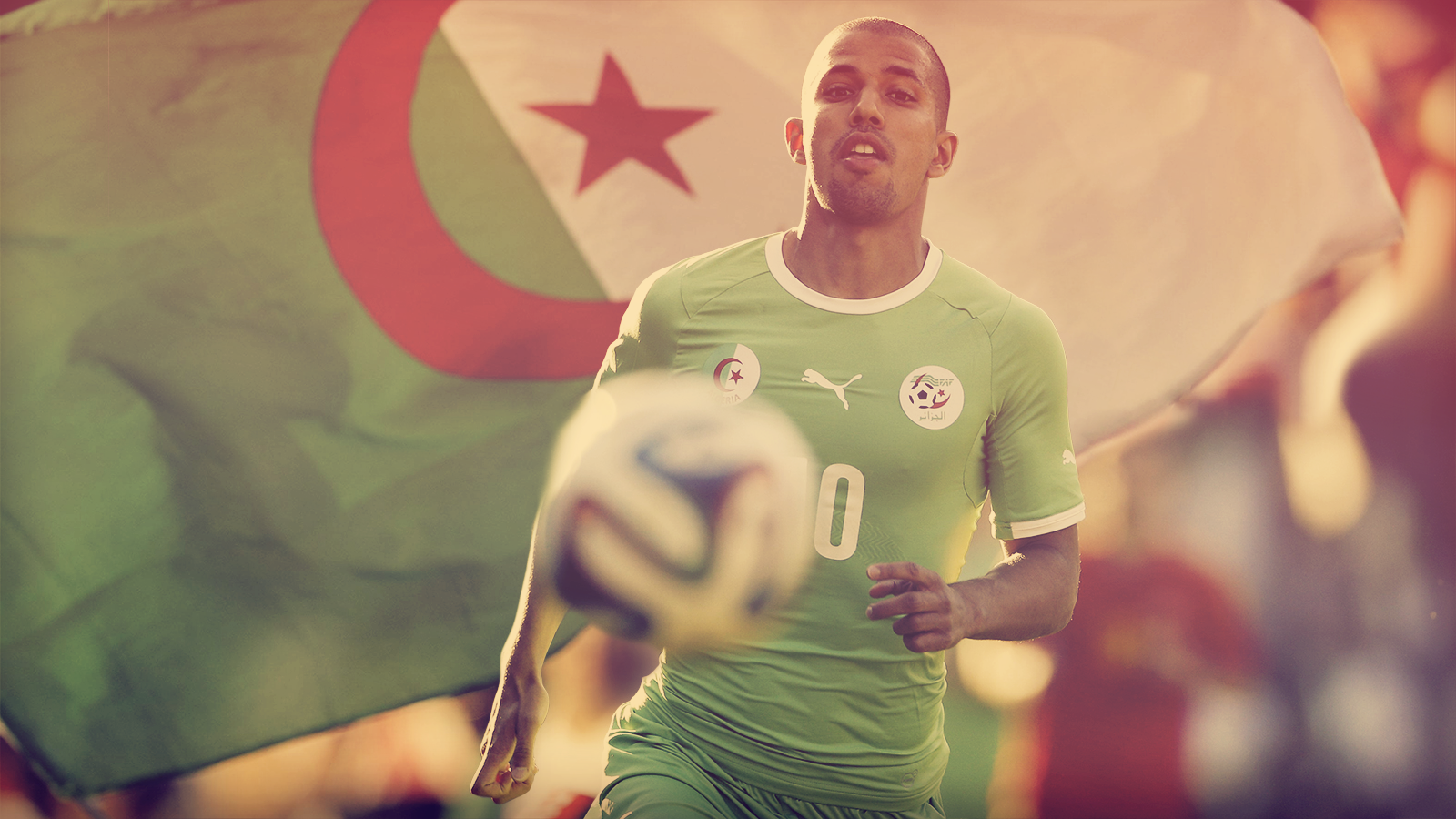 Wallpapers Sports - Leisures Football - Algrie Equipe Nationale Algrienne - Coupe Du Monde 2014