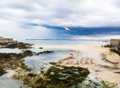  Nature St Malo plage