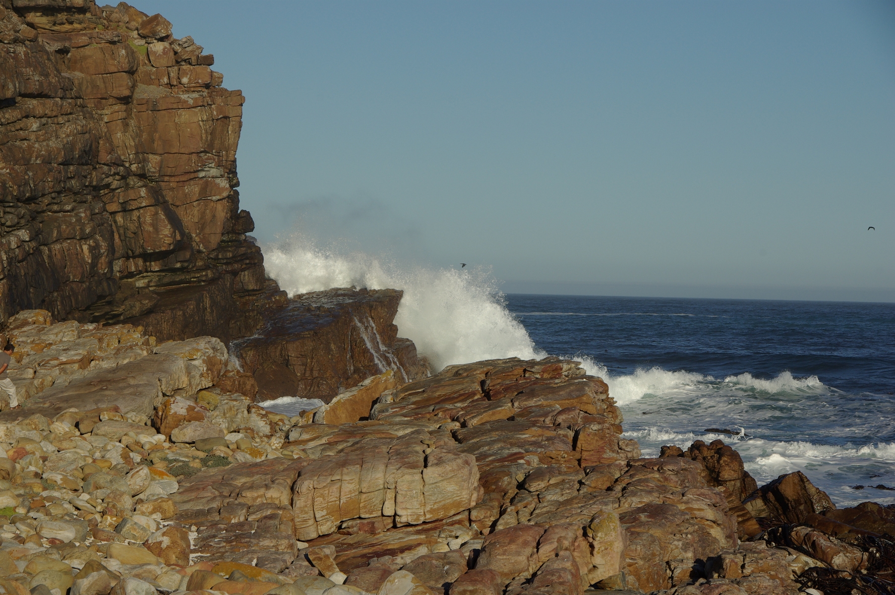 Wallpapers Nature Seas - Oceans - Beaches Rochers au Cap de Bonne Espérance (Afrique du sud)