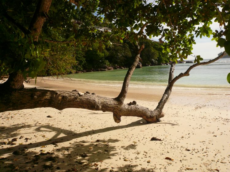 Wallpapers Nature Paradisiac Islands Plage de Beauvallon (Mae, Seychelles)