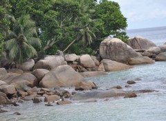  Nature Seychelles (Ma)