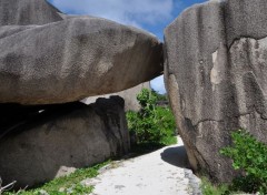  Nature Roches Seychelles (La Digue)