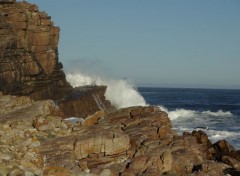  Nature Rochers au Cap de Bonne Espérance (Afrique du sud)